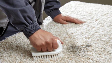 Professional Rug Cleaning Altona North